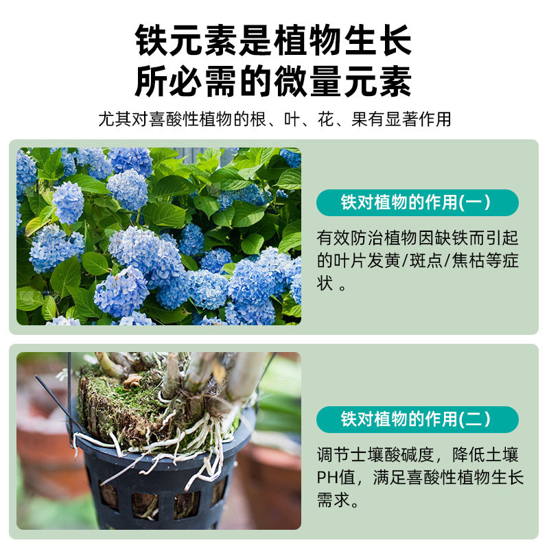 硫酸亚铁花肥料土壤植物营养液通用型酸性插花栀子花卉盆栽专用肥,淘宝优惠券,粉丝福利购,淘宝优惠卷