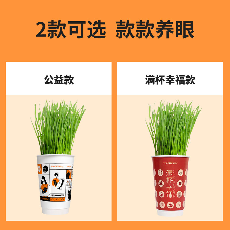 Toptrees领先猫草水培猫薄荷草盆栽土壤种植套装小麦种子猫咪化毛 Toptrees宠物食品旗舰店 淘优券