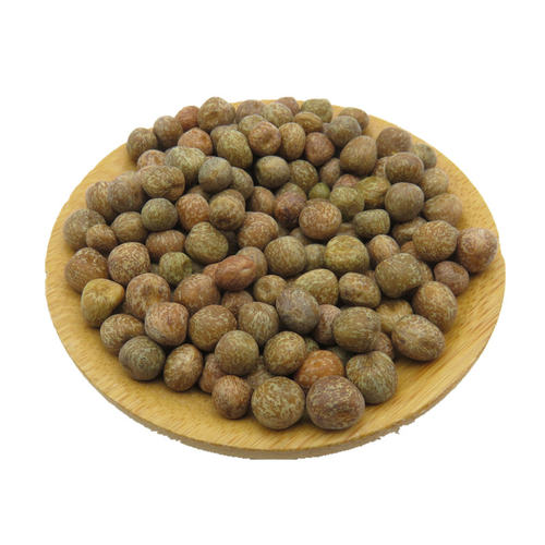 麻豌豆苗种子芽苗菜家庭阳台无土栽培豌豆菜苗四季豌豆苗种子包邮 - 图3