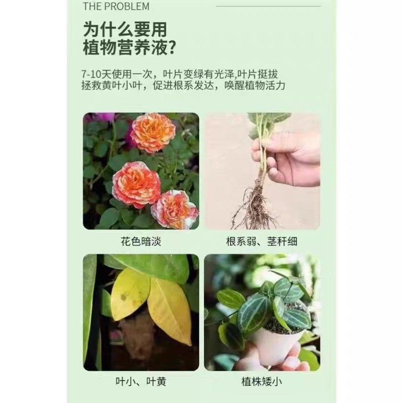 羽化臣2号大S华植物营养液家用盆栽养花发财树金钱树绿植羽花臣,淘宝优惠券,粉丝福利购,淘宝优惠卷