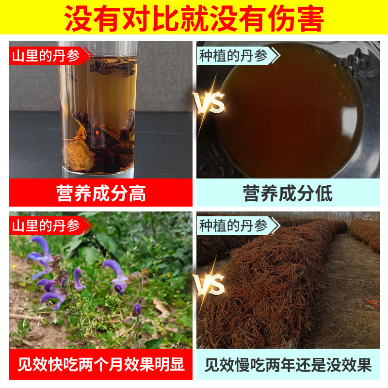 野生丹参500g包邮山楂丹参黄芪茶特级丹参片可搭葛根川芎中 药材 - 图1