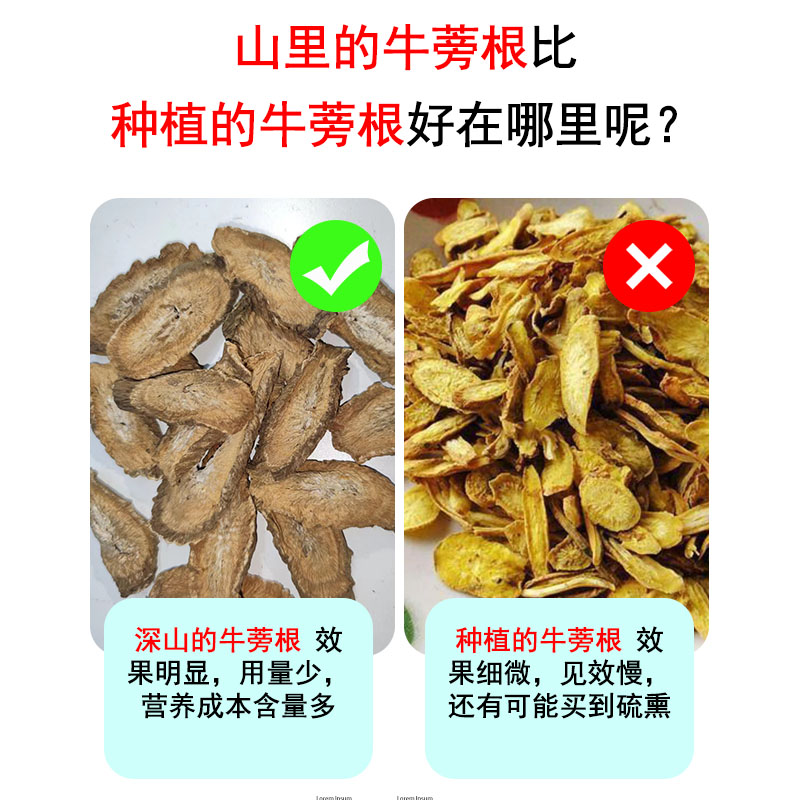 野生牛蒡根中药材500g包邮特级正品牛蒡茶新鲜纯天然无硫牛蒡根片 - 图1