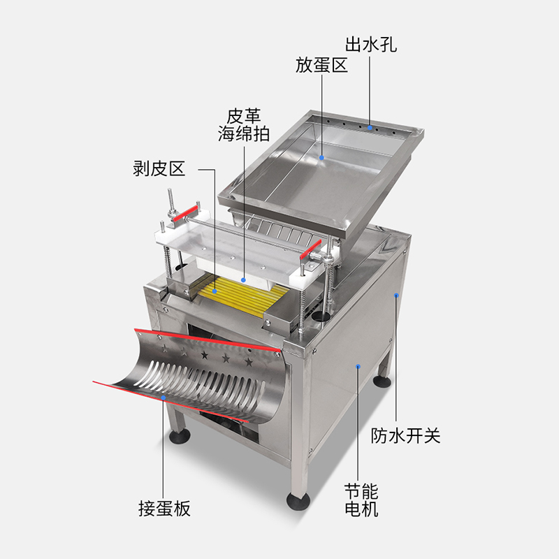 大型商用鹌鹑蛋剥壳机剥鹌鹑蛋神器全自动剥皮机器鸡蛋扒皮脱皮机 - 图0