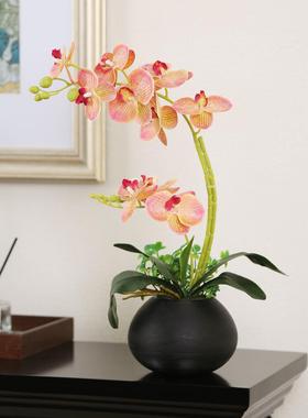 彷蝴蝶兰花花卉套装饰品新中国风客厅餐桌古架假花桌面小盆栽植物
