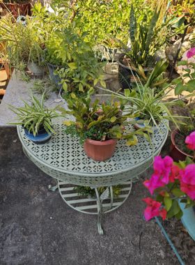 花园庭院户外橱窗装饰半圆桌架