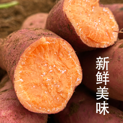 新鲜现挖正宗沙地红心蜜薯