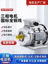 YS three-phase aluminum shell motor national standard pure copper motor 2800 to 0 75KW-2 4 horizontal B14 vertical 1400 swivel