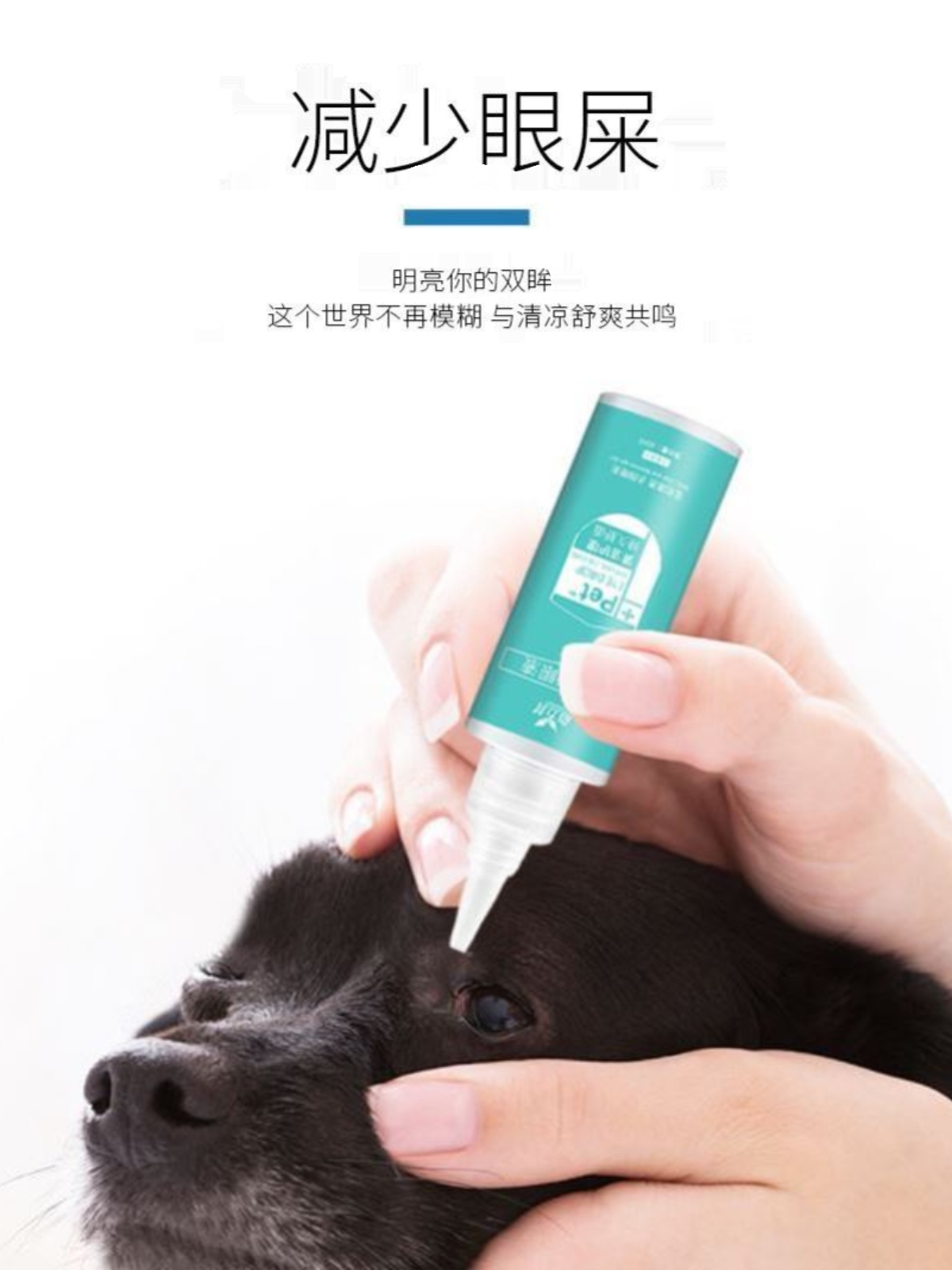 直销狗狗滴眼液宠物专用眼药水猫咪比熊泰迪去泪痕眼屎眼睛清洁用 - 图1