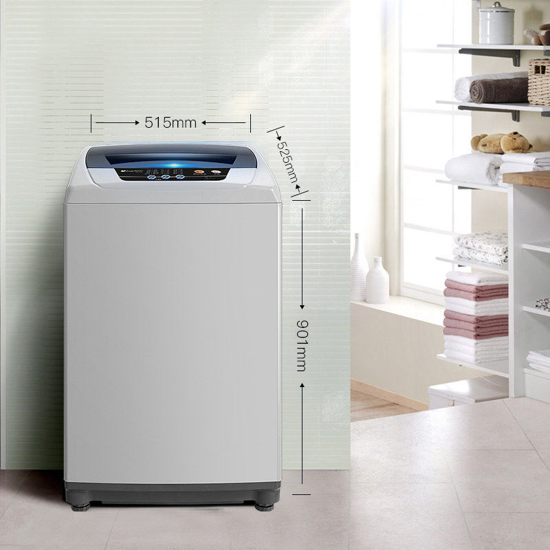 小天鹅5.5公斤kg洗衣机一人用波轮 泰达电器洗衣机