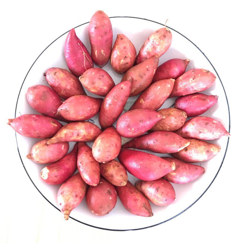 新鲜10斤现挖红心蜜薯糖心小红薯 稻意庄园番薯