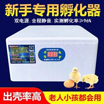 Water Bed Incubators Incubators Incubators Hatchery Household Type Fully Automatic Mini Mini Water Beds Hatchbox Smart Chicks