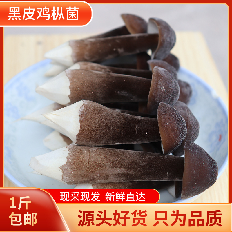 现摘福建新鲜黑皮鸡枞菌菇新鲜山珍菌菇鲜蘑菇食用荔枝菌1斤包邮 - 图0