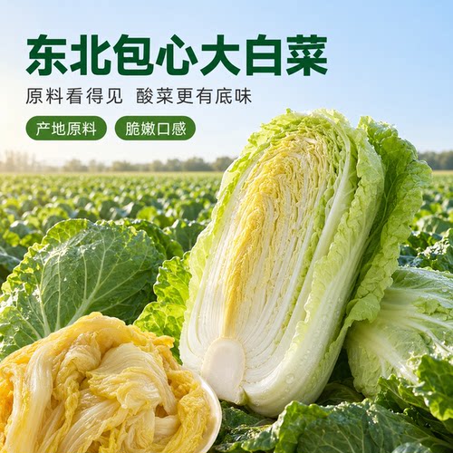 【商用批发】榆园酸菜整箱500g*20袋 东北特产乳酸菌腌制整颗白菜 - 图2