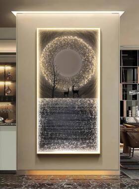 LED灯星空麋鹿玄关装饰画现代简约轻奢客厅走廊过道灯画高端挂画