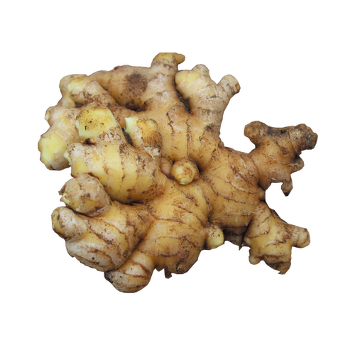 生姜新鲜云南小黄姜沙姜怀姜汁老姜仔月子姜罗平老姜汁10斤包邮5