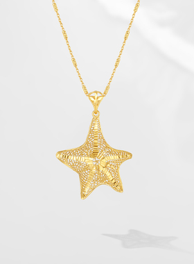 adhora海洋系列镂空海星项链女简约气质锁骨链2024新款颈链送女友