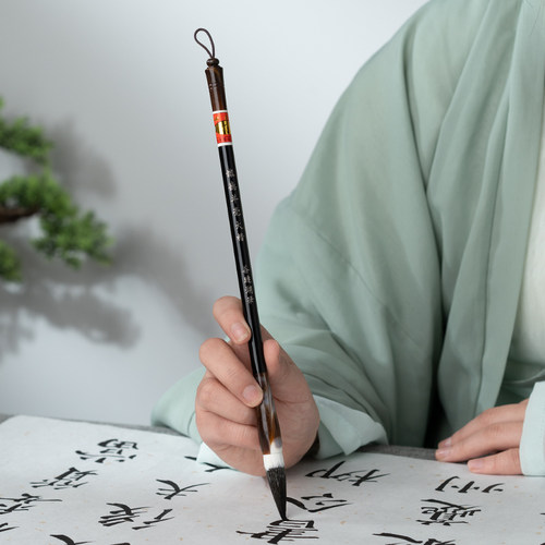 【清仓毛笔】善琏湖笔毛笔套装初学狼毫羊毫兼毫专业级儿童小学生国画练字初学者白云湖州湖笔专用中楷小楷 - 图1