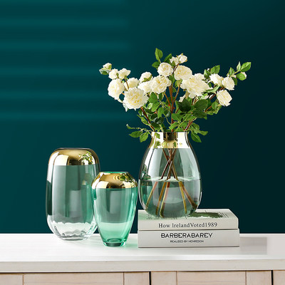 现代简约轻奢玻璃花瓶透明水养插花鲜花花器摆件北欧创意客厅餐桌 虎窝淘