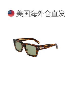自营salvatore ferragamoSF2033S 216条纹棕色/绿色条纹棕色 美国