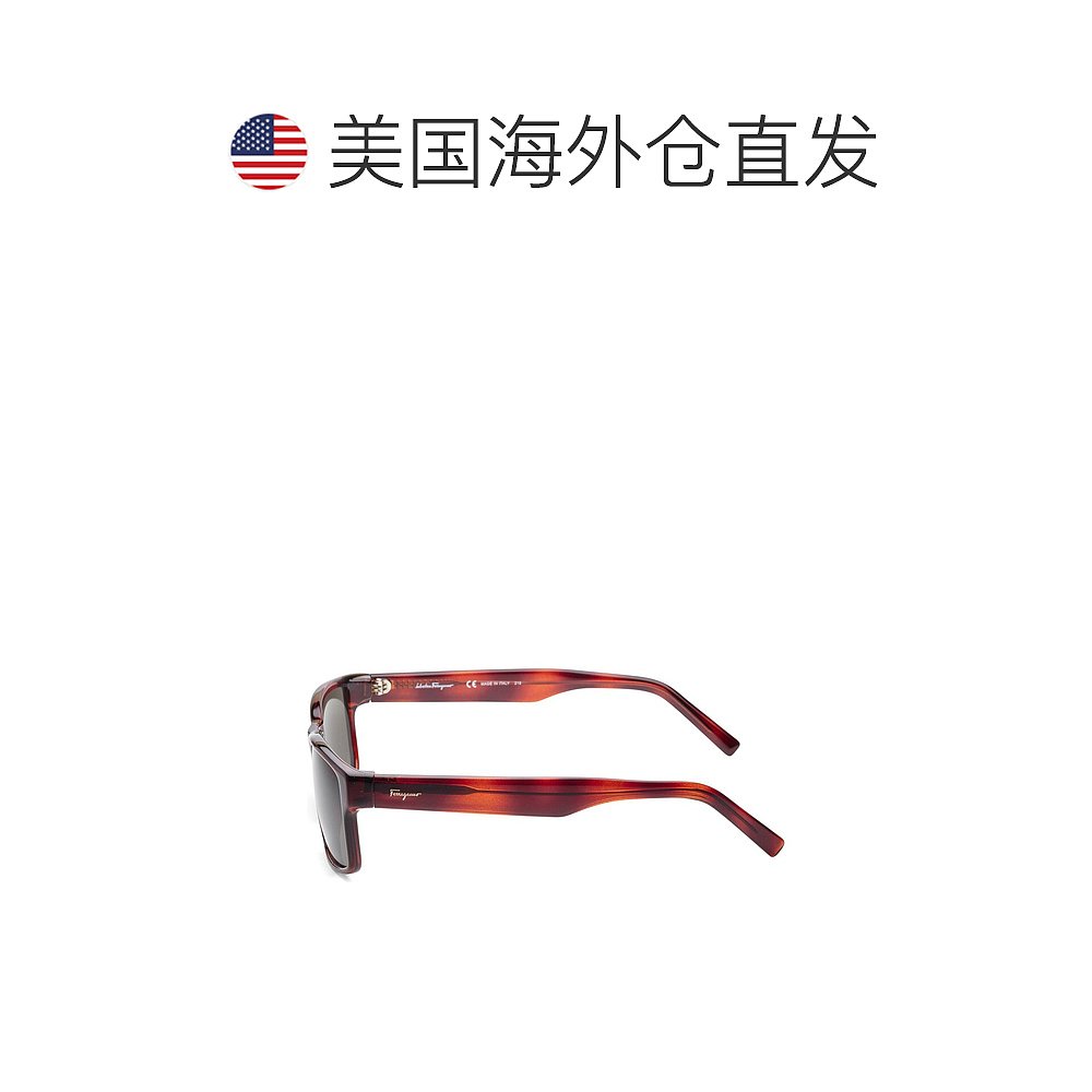 Salvatore Ferragamo 女士 SF960S 58 毫米太阳镜 - 棕色 【美国 - 图1