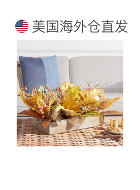 自营safaviehFx 31