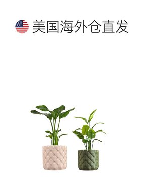 jonathan ySyrie 现代波西米亚室内海浪环保 3D 印花花盆带排水 -