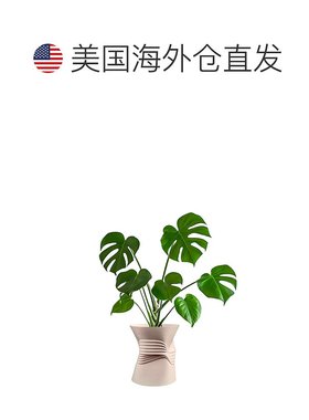 jonathan yBrent MidCentury 现代室内压碎罐环保 3D 打印花盆带