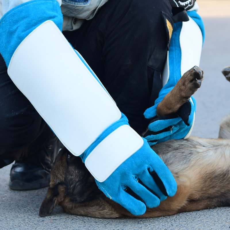 狗狗防咬手套训练训犬防狗咬防猫抓宠物凯夫拉防刺防扎捉抓狗加厚-图2