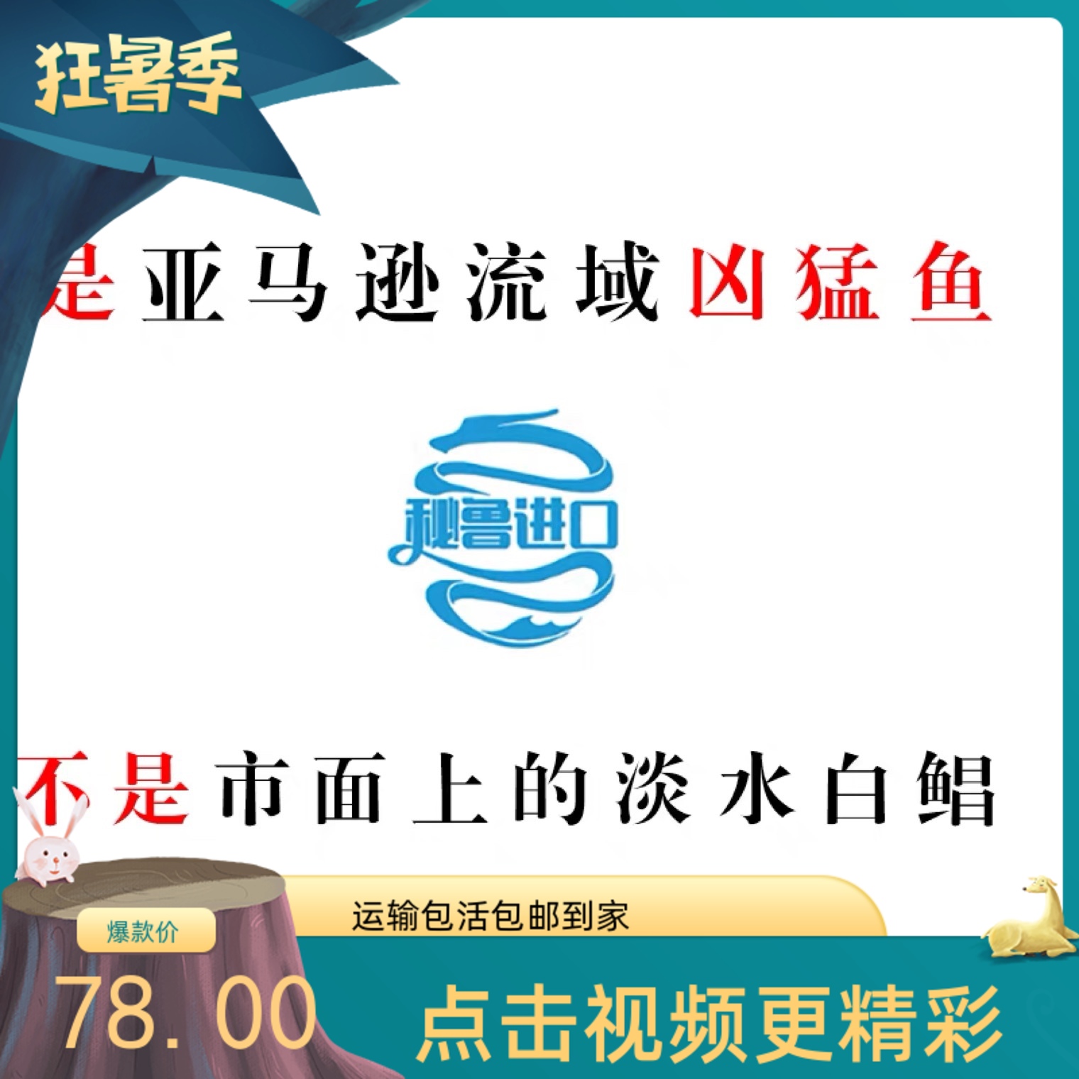 南美群养热带鱼淡水凶猛宠物观赏鱼活苗肉食性猛鱼包邮-图0