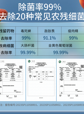 丰腾智能控制活氧果蔬消毒清洗机