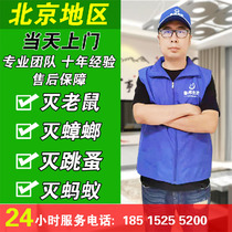 Beijing door-to-door rat-killing service extermination cockroach professional family in addition to rat-catching rat extermination and insect-catching rat service