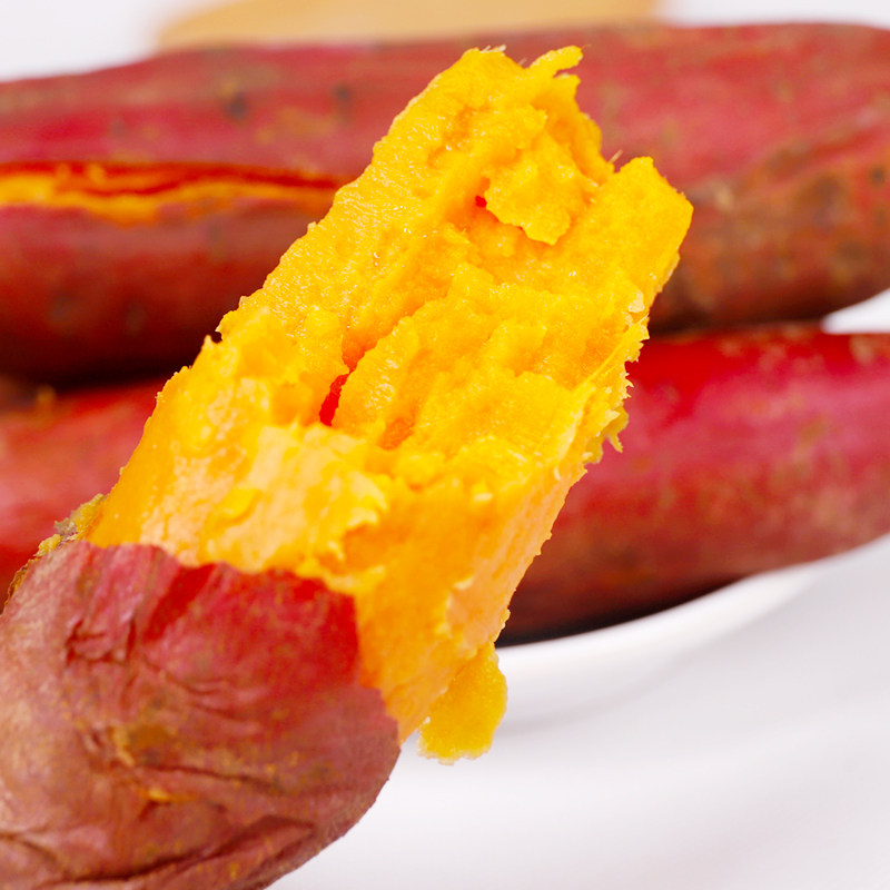 鲜彤西瓜红蜜薯红心新鲜甜板栗红薯 鲜彤番薯