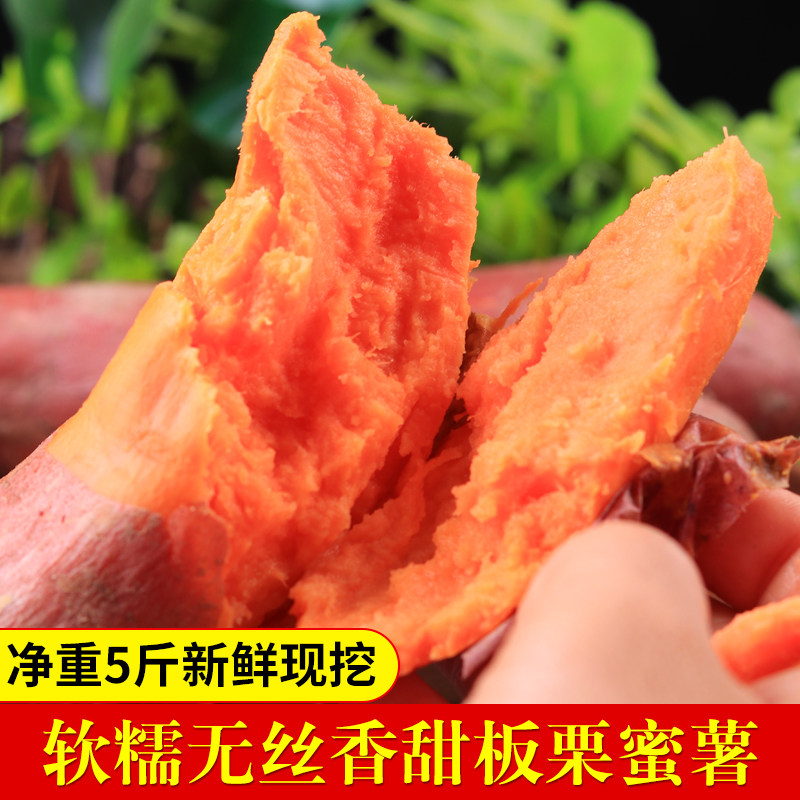 六鳌沙地红心蜜薯新鲜西瓜板栗红薯 鲜彤番薯