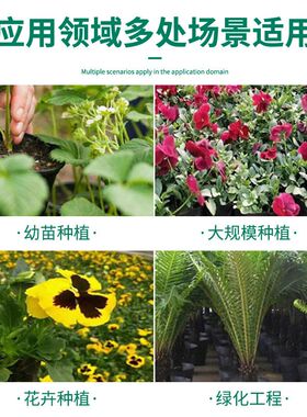 批发恒得利加厚营养钵园林种植花