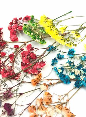 干花压花滴胶手作系列