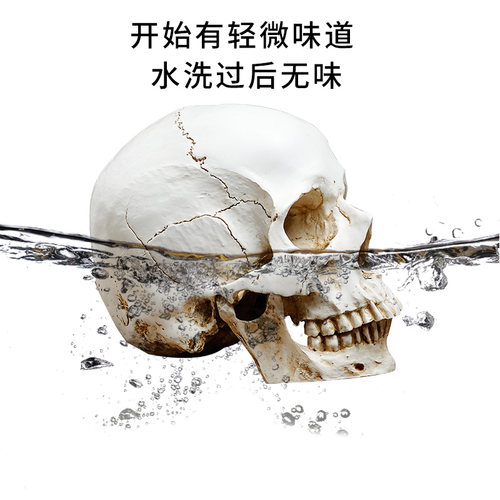树脂仿真石膏头骨像美术素描骷髅头模型1比1教具人物写生静物 - 图2