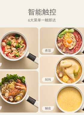 七彩叮当含钛涂层电煮锅不锈钢