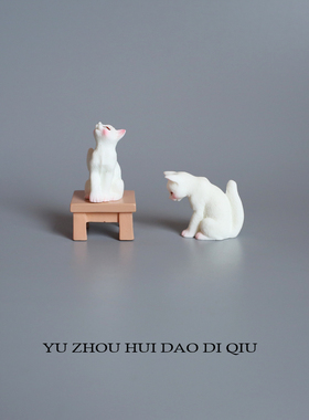 无聊了看猫咪亲亲！秀恩爱