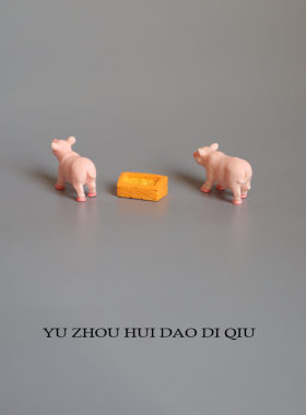 无聊了放一对猪猪！2猪+食槽