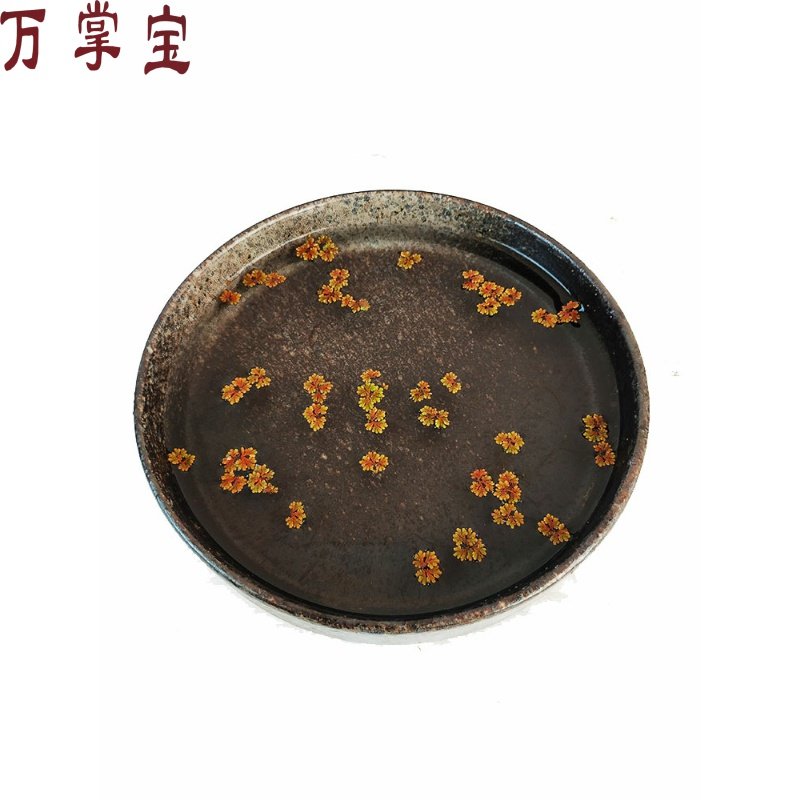 鱼缸浮萍水草植物浮性飘浮水除no3净化水质微景观珊瑚浮萍满江红 万掌宝家居专营店 淘优券