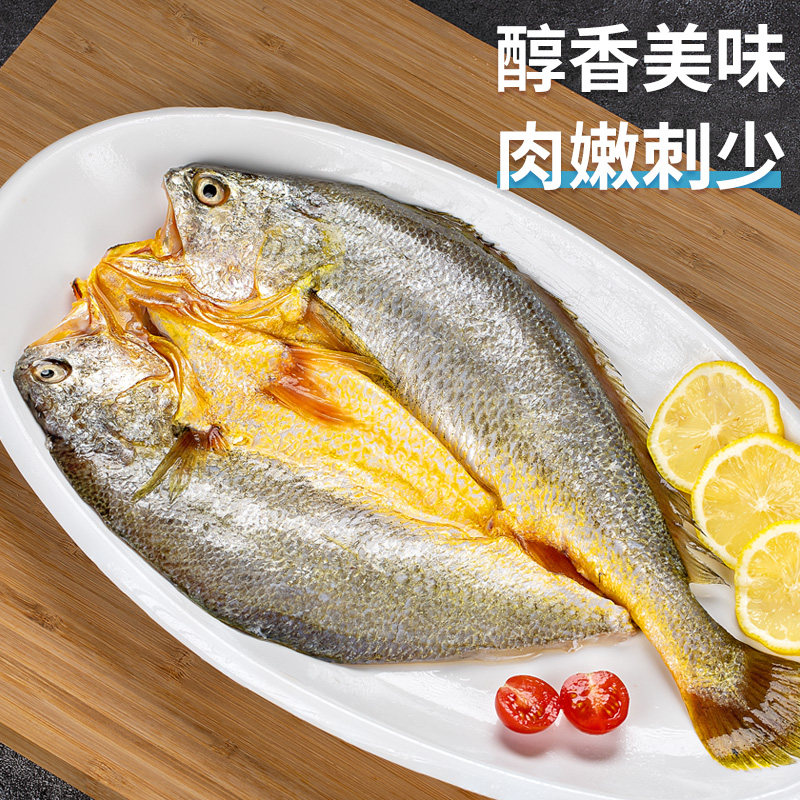 宁德黄鱼鲞5条黄花鱼新鲜冷冻小黄鱼海鲜生鲜大黄鱼免杀免洗商用,淘宝优惠券,粉丝福利购,淘宝优惠卷