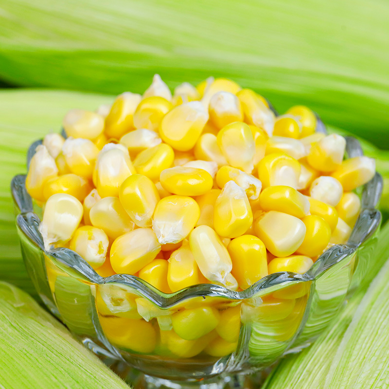 云南金银水果玉米新鲜玉米9斤甜玉米棒子糯生吃包谷蔬菜整件包邮 - 图3