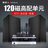 Konka, комплект, колонки для спортзала для офиса, картхолдер, 12 дюймов