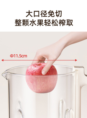 顺然加热榨汁机家用小型冷热双打