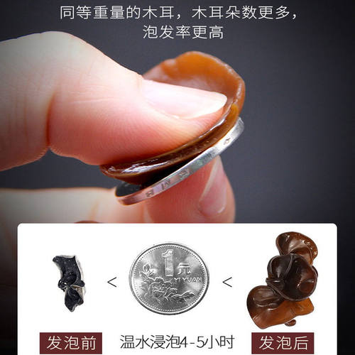 东北黑木耳秋木耳500g特产精品小碗耳长白山木耳汪清黑木耳脆木耳 - 图2