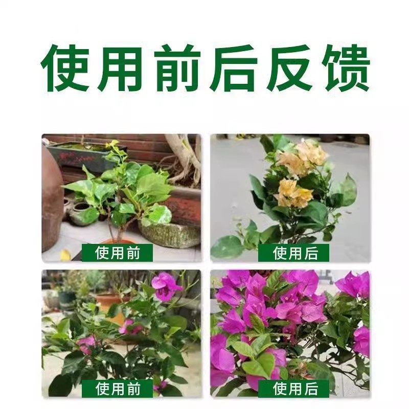 三角梅专用开花有机肥促花爆花骨粉复合肥料促进开花养花枝繁叶茂