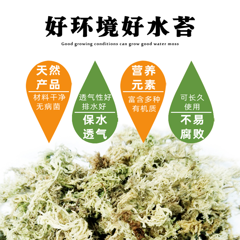 兰花专用土蝴蝶兰专用水苔营养土干苔藓青苔君子兰石斛花乌龟垫材-图2