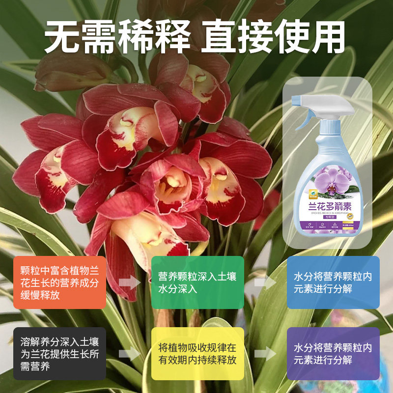 兰花多箭素爆芽素促箭王催花剂专用营养液爆根王兰花促花芽,淘宝优惠券,粉丝福利购,淘宝优惠卷