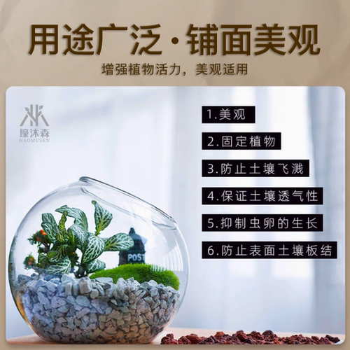天然绿沸石颗粒肉肉铺面石颗粒土多肉植物营养土专用防烂根大小粒 - 图2