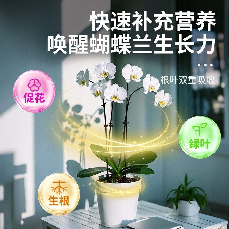 蝴蝶兰专用营养液肥料兰花促开花分芽生根壮苗有机液体肥营养肥,淘宝优惠券,粉丝福利购,淘宝优惠卷